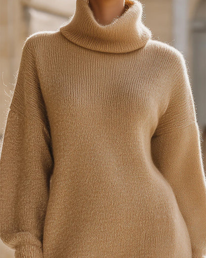 Turtle Collar Fashionable Sweater Dress