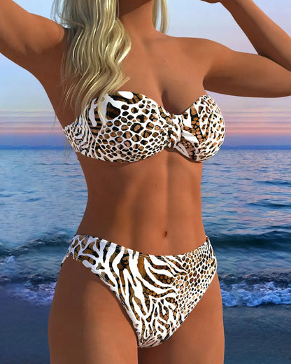 Sexy Leopard Print Two-Piece Swimsuit